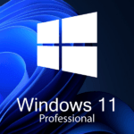 Windows 11 Pro Online OEM License Key
